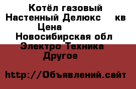 Котёл газовый Настенный Делюкс 24 кв › Цена ­ 35 000 - Новосибирская обл. Электро-Техника » Другое   